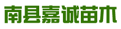 南县嘉诚苗木种植专业合作社_南县水杉|南县池杉|杉类苗木哪里好